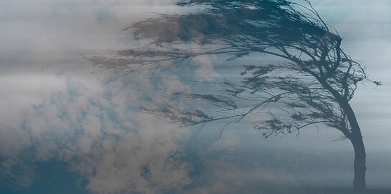 Усиление ветра до 15-20 м/с прогнозируется в районах Дагестана