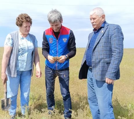В Ногайском районе Дагестана нашли кубышки зимующего запаса саранчи