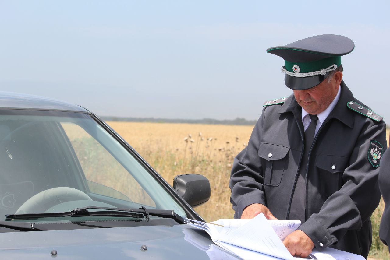 На севере Дагестана ввели карантин из-за опасного растения-паразита