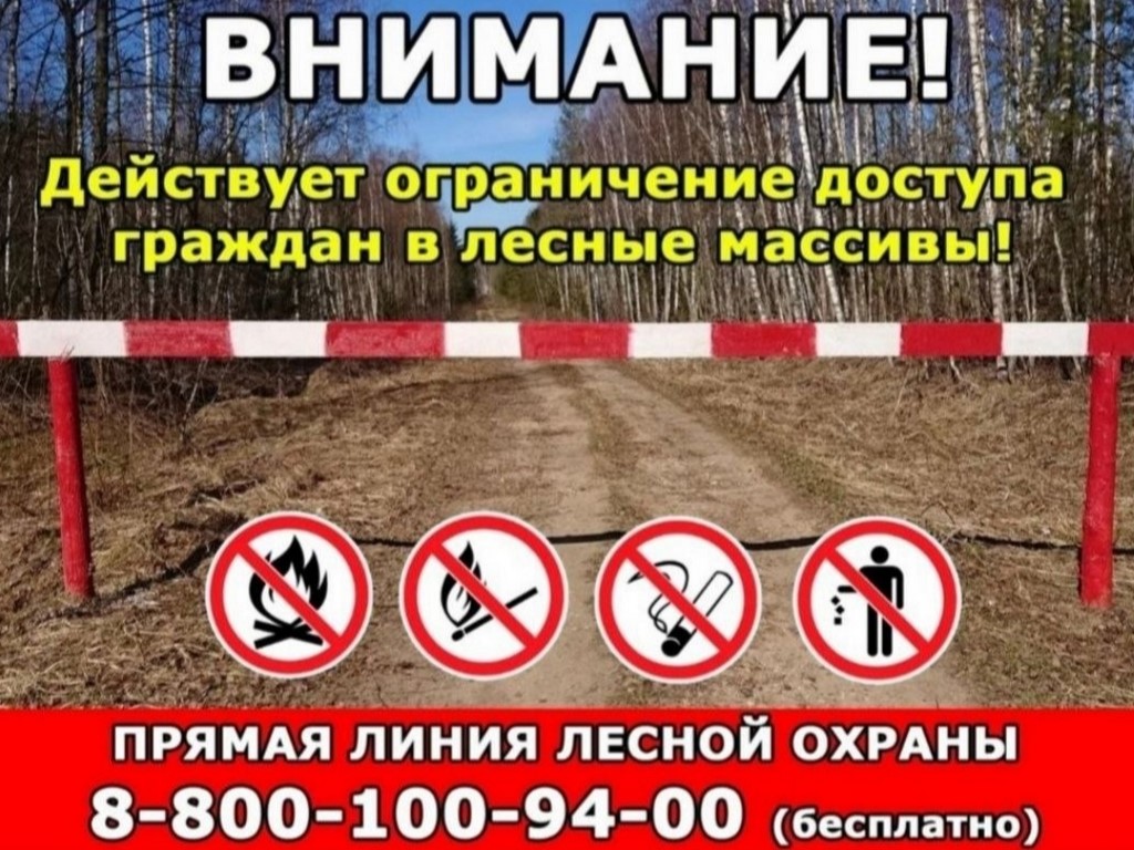 Даглесхоз ограничил доступ в леса республики из-за пожароопасности