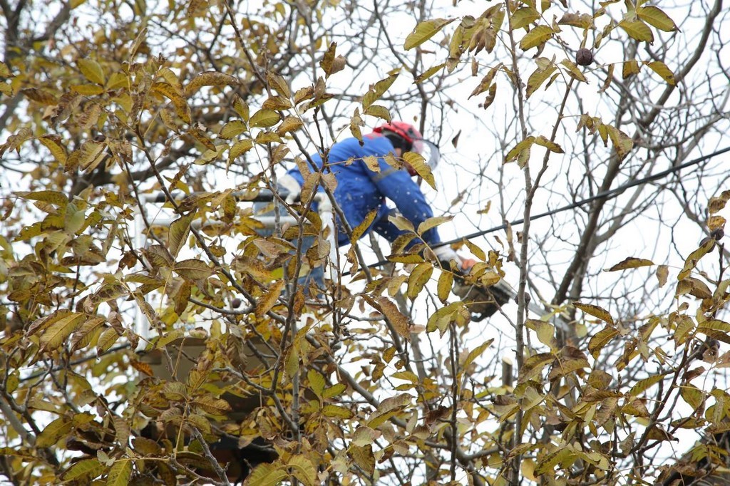 Плановые отключения электроэнергии затронут несколько сёл Кизилюртовского района