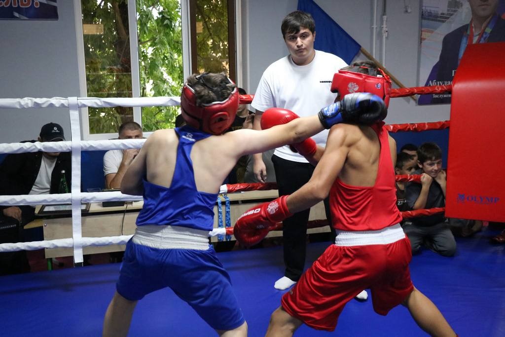 Изображение 1