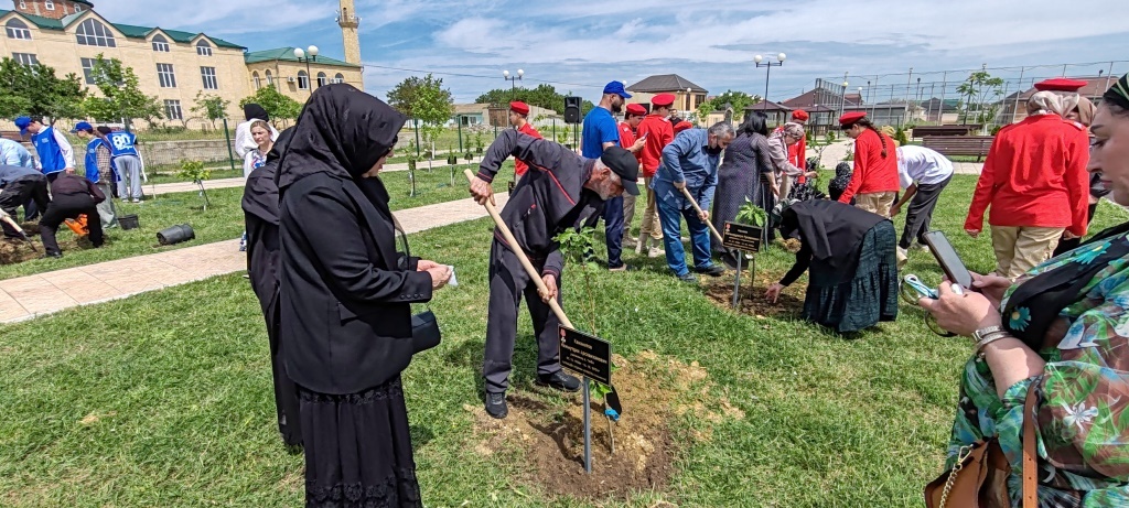 В «Саду памяти» Кумторкалинского района посадили новые деревья
