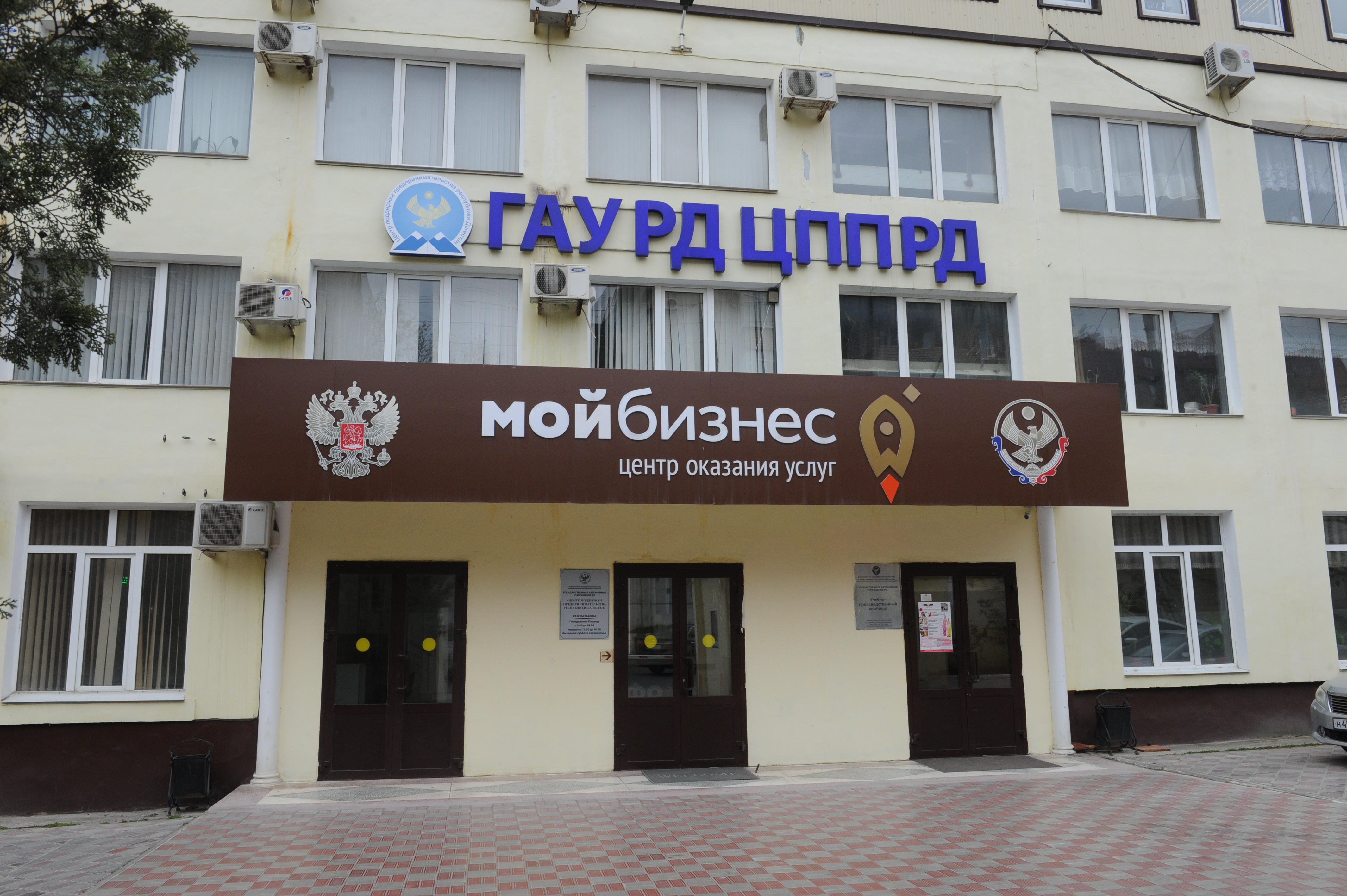 Предприниматели Дагестана заявились на получение 44 млн рублей в виде субсидий