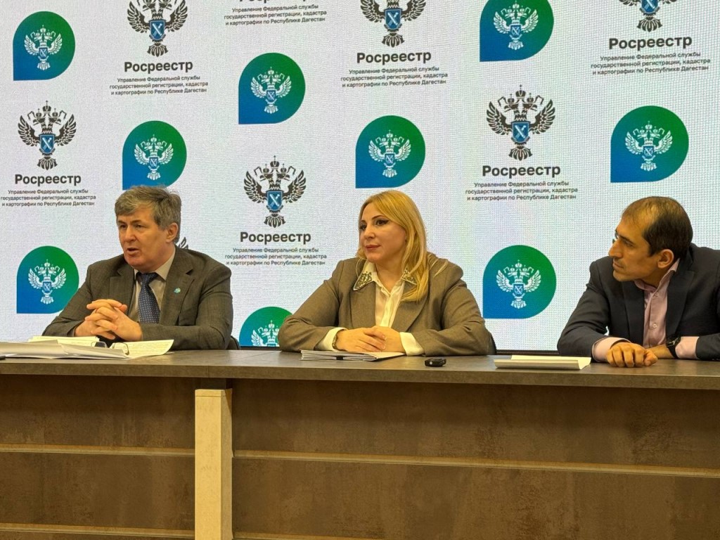 Росреестр Дагестана объяснил нюансы закона об изъятии неоформленных заброшенных земель