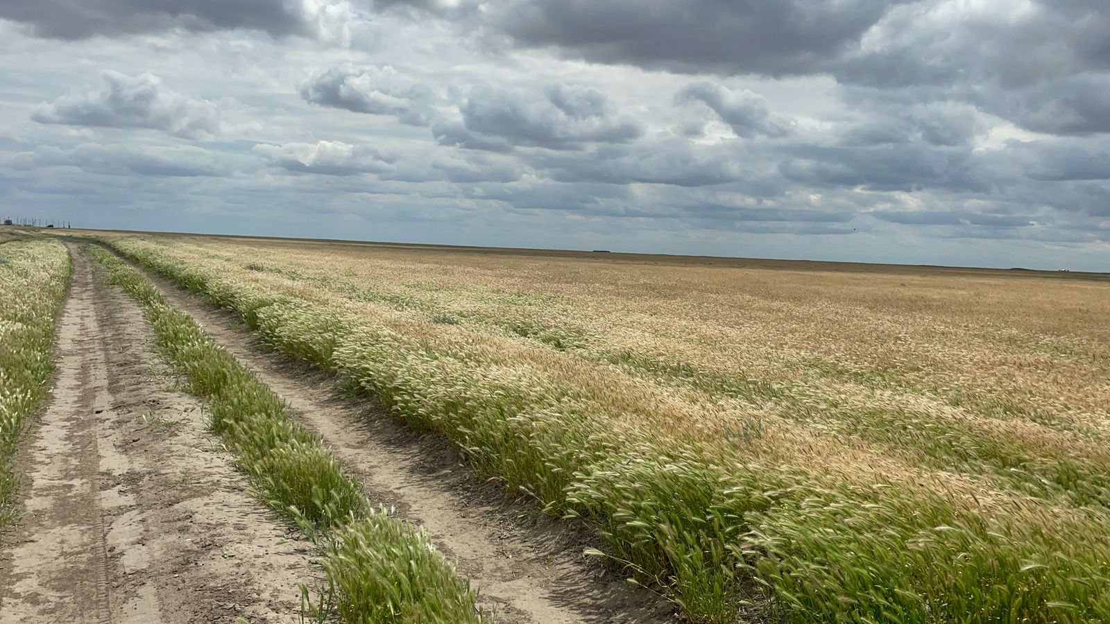 В Дагестане принимаются меры по предотвращению сельхозпалов