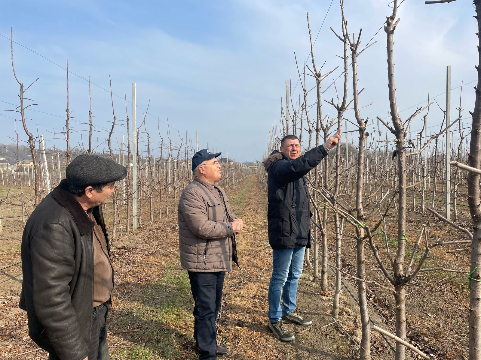 Изображение 2