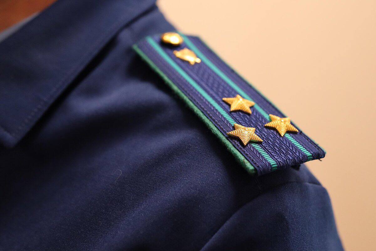 Незаконного лесоруба из Дагестана осудили за рубку 26 деревьев