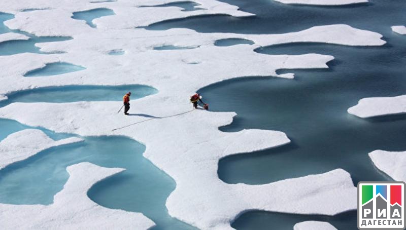 Арктика растает к концу 2016 года