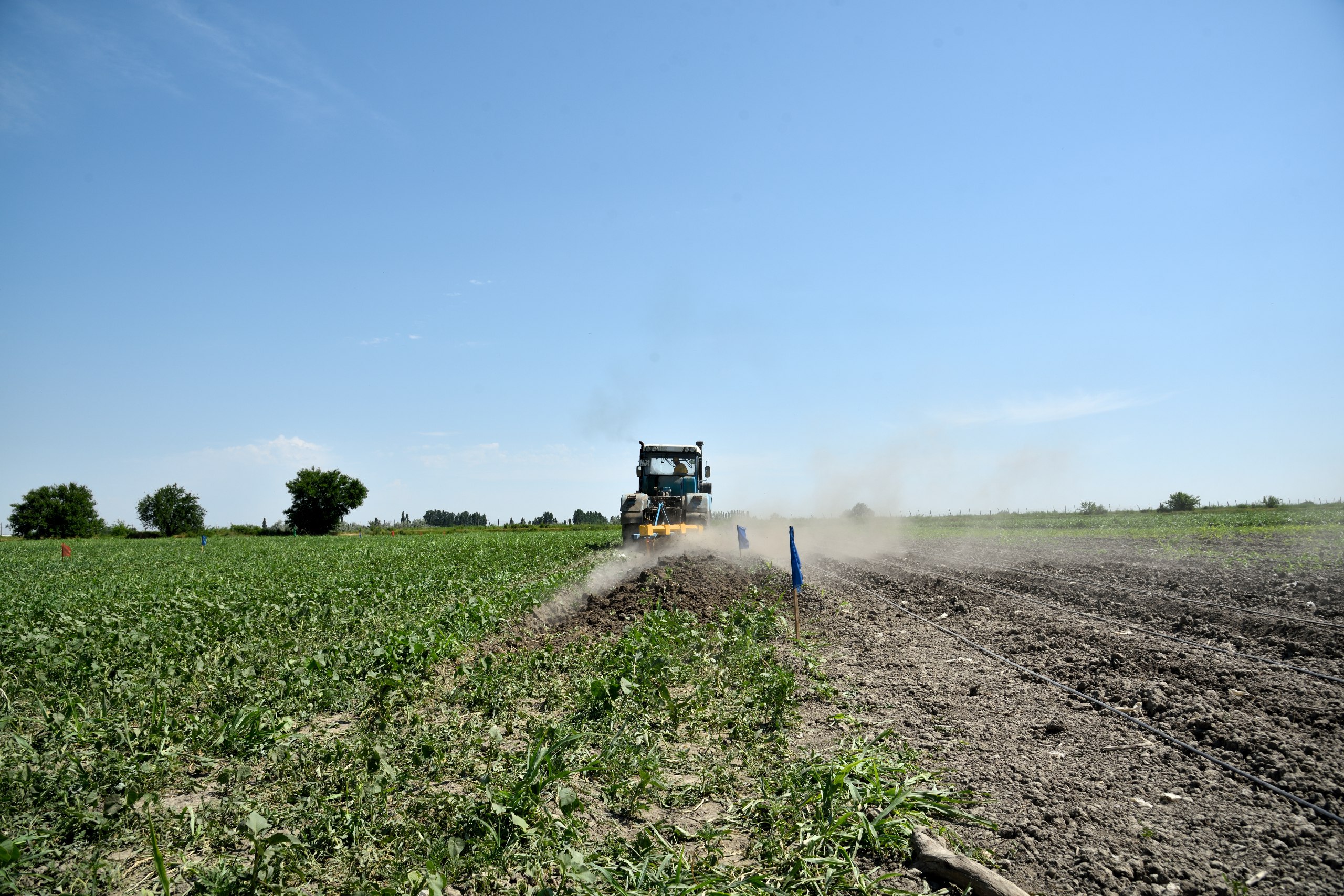 Весенней посевной кампанией в Дагестане охватят более 230 тысяч га земель