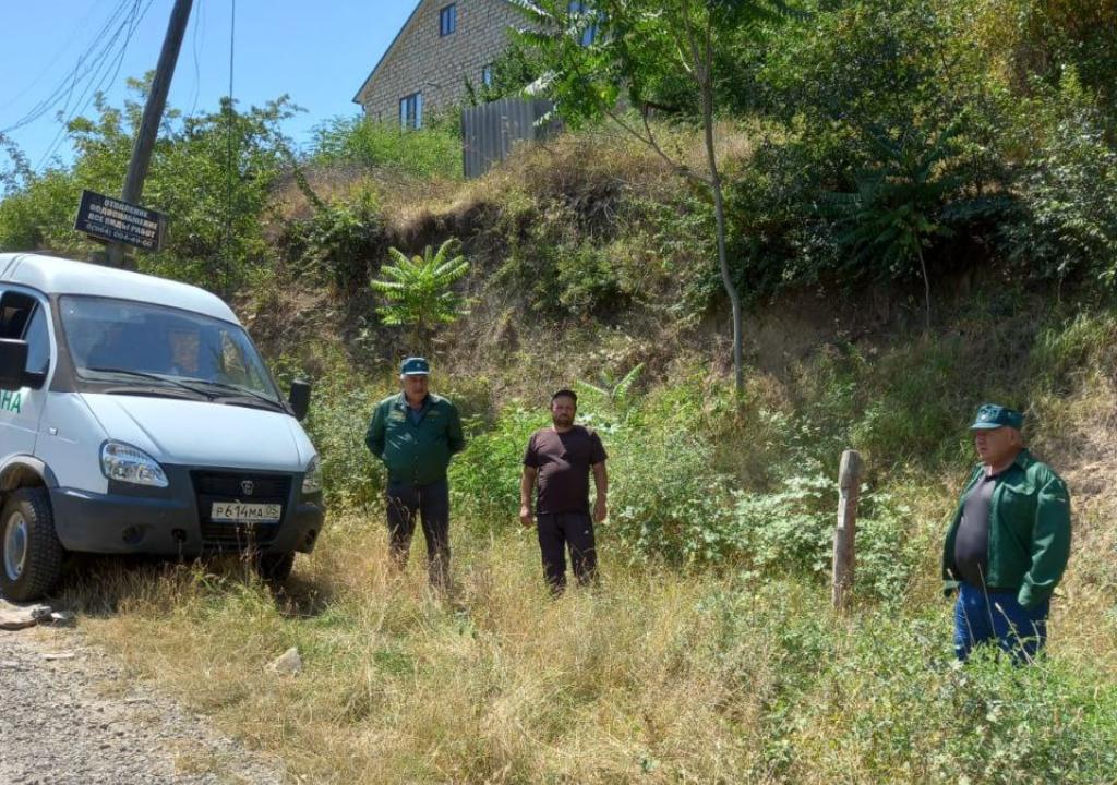 Даглесхоз проверяет арендаторов лесов на предмет выполнения противопожарных мер