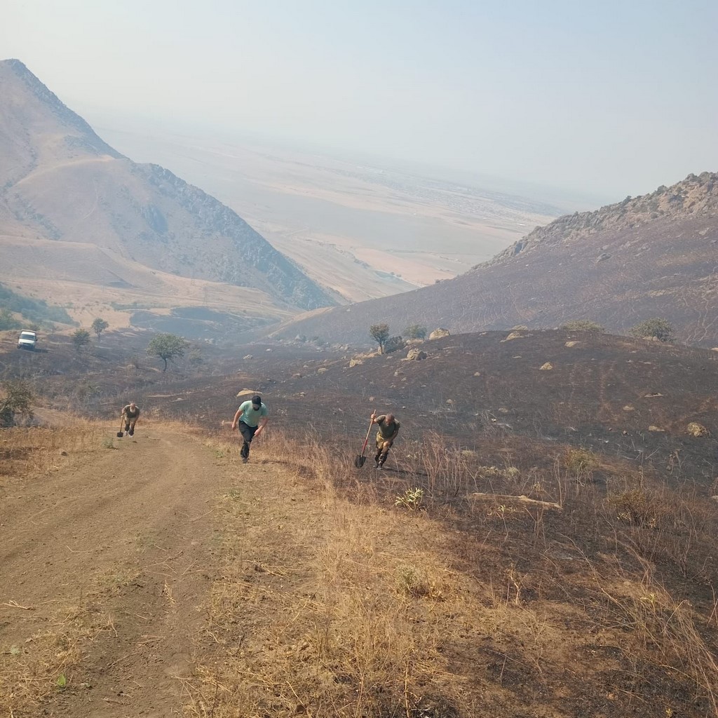 Лесники Дагестана предотвратили пожары в аномальную жару