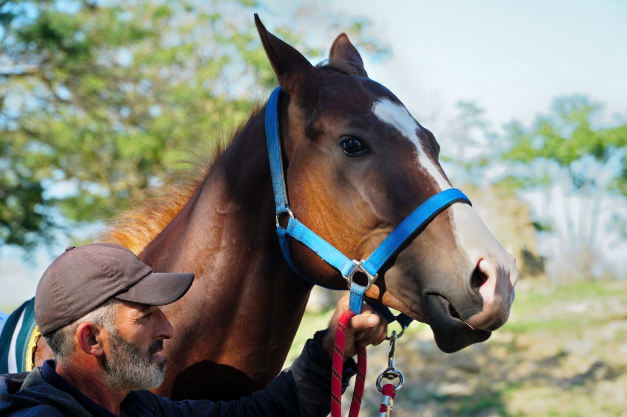 В Дагестане выбрали победителей скачек, посвященных 80-летию Великой Победы