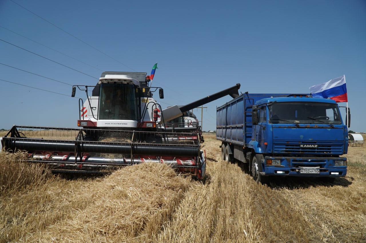 В Дагестане завершен сбор урожая озимых зерновых