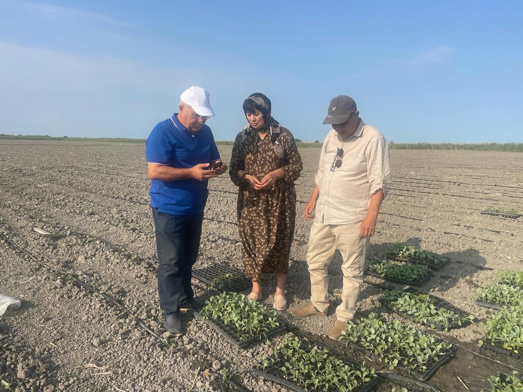 Дагестан наращивает свою роль «зимнего огорода» страны