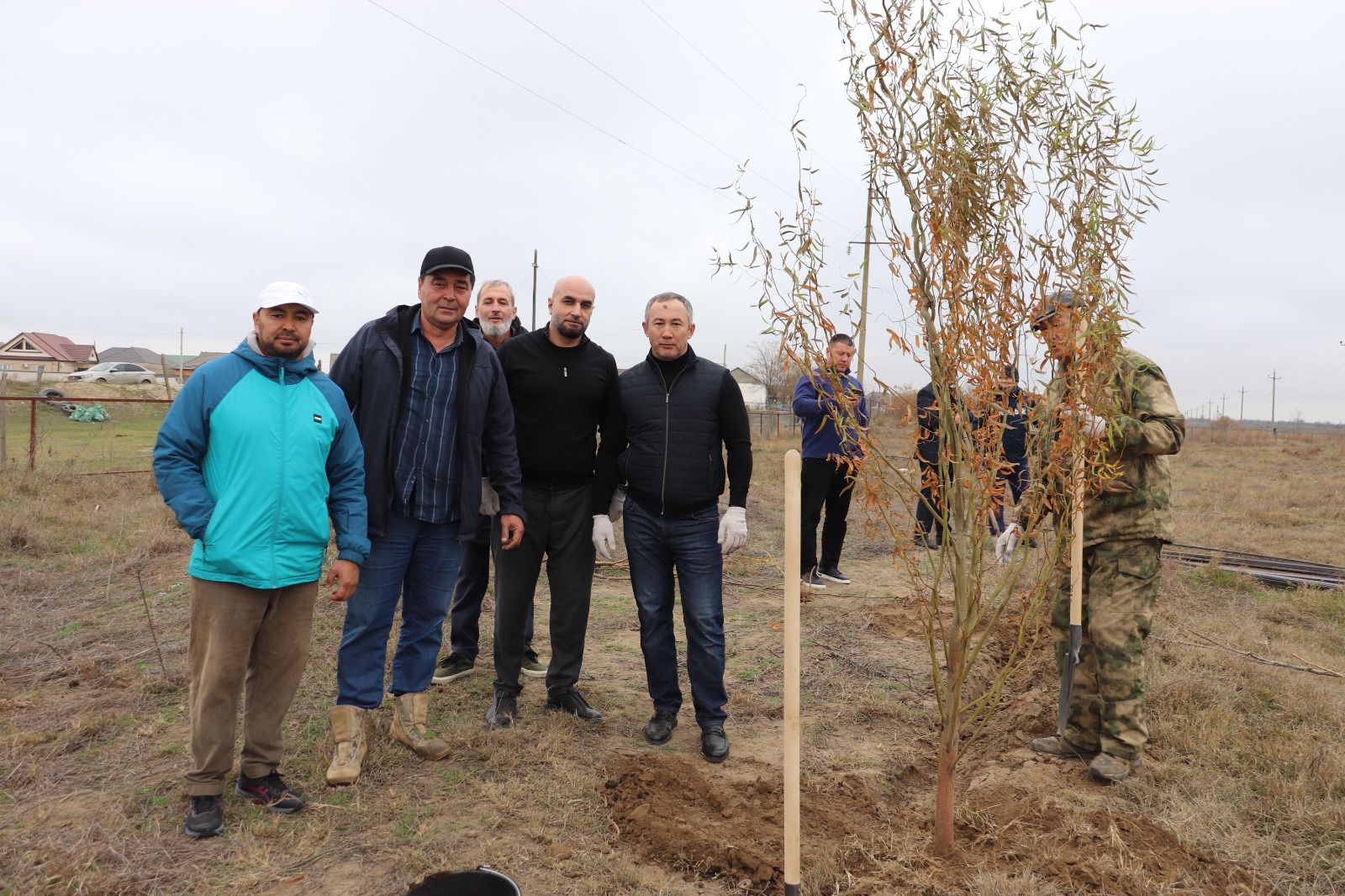 Более 300 саженцев высажено в Ногайском районе Дагестана