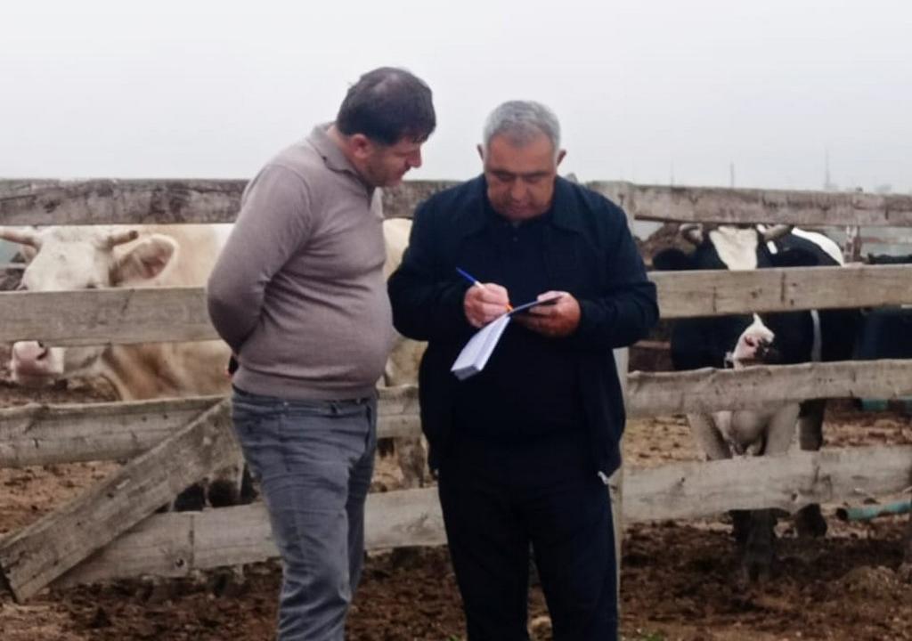 Главный зоотехник Карабудахкентского района проводит выездные обследования фермерских хозяйств