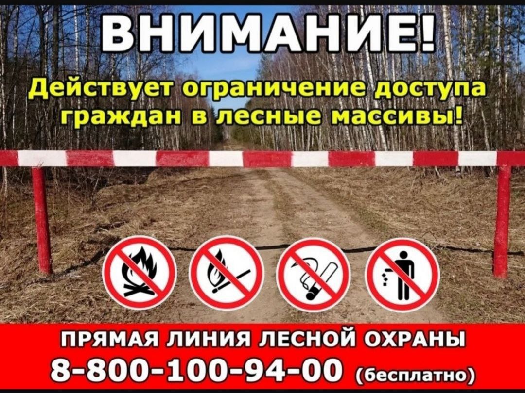 В Дагестане ввели ограничения на посещение лесов из-за пожарной опасности