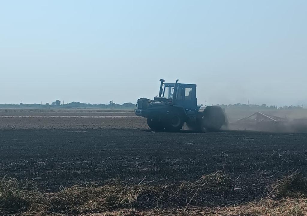 На полях Хасавюртовского района идет комплекс полевых работ