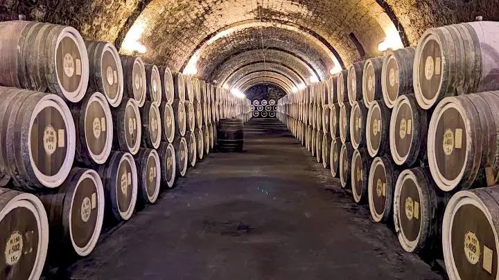 «Россети» обвинили в ущемлении интересов винзавода на юге Дагестана