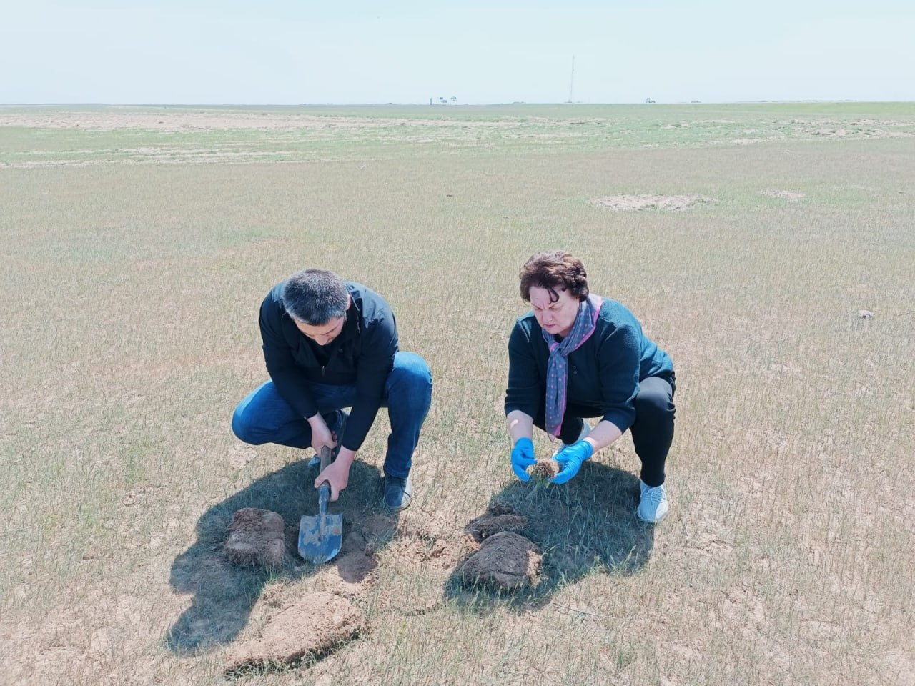 Россельхозцентр Дагестана проведет совместные обследования приграничных земель на наличие саранчовых