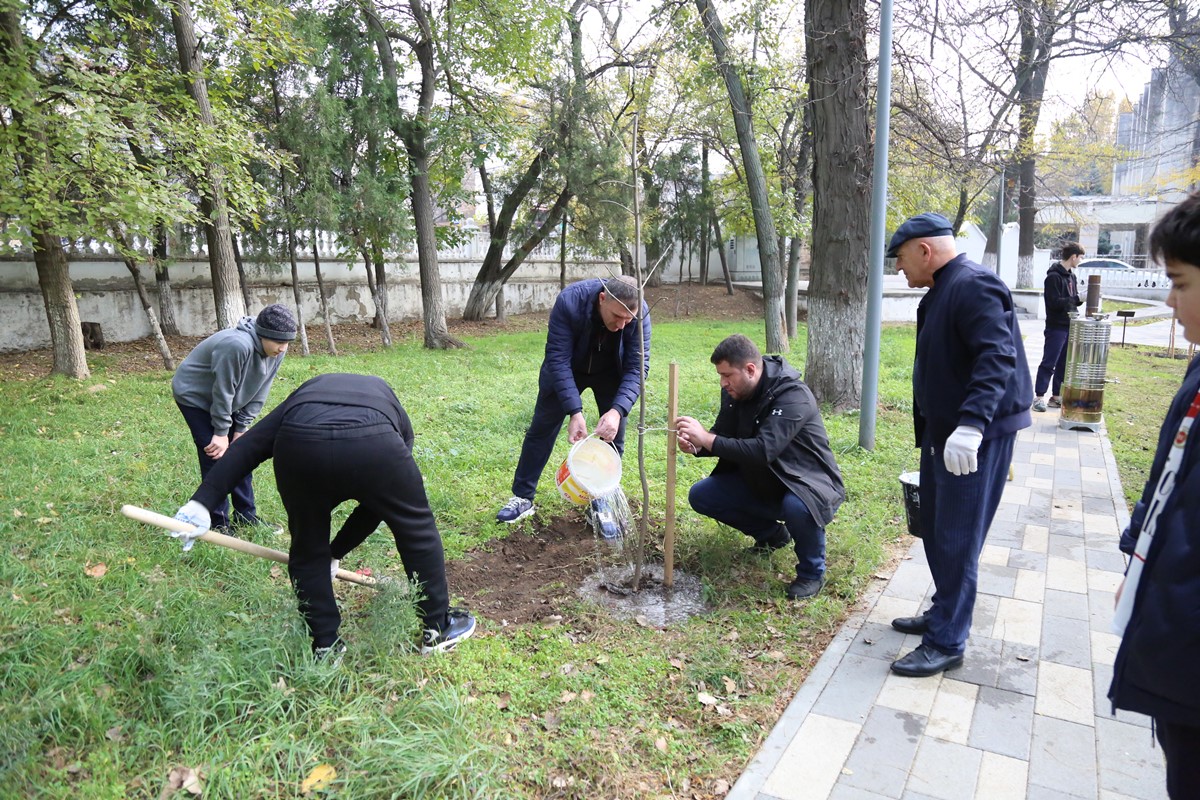 Дагестанские налоговики посадили 35 саженцев в честь 35-летия Службы