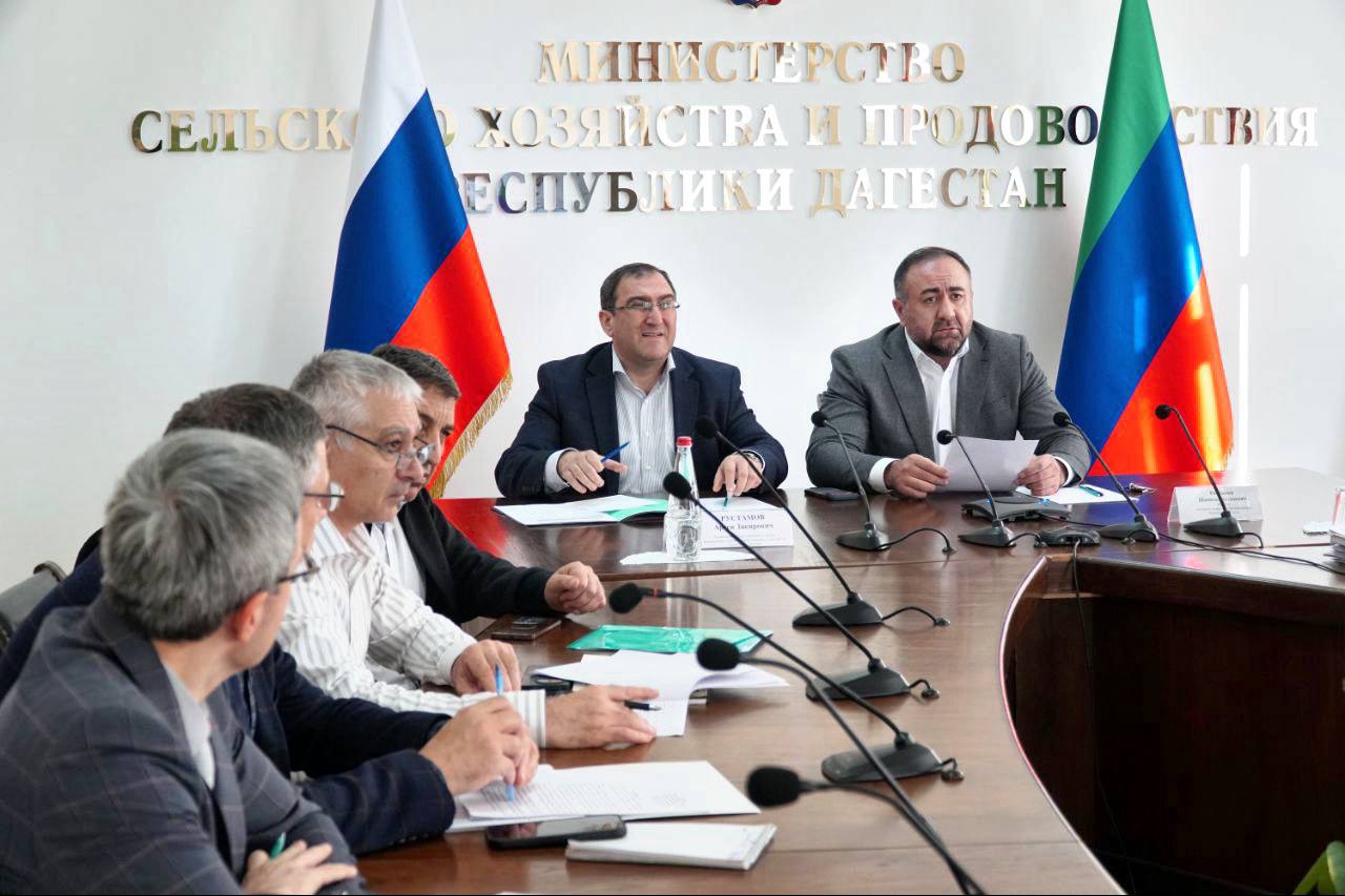 В Махачкале обсудили вопросы формирования статистической отчетности в АПК