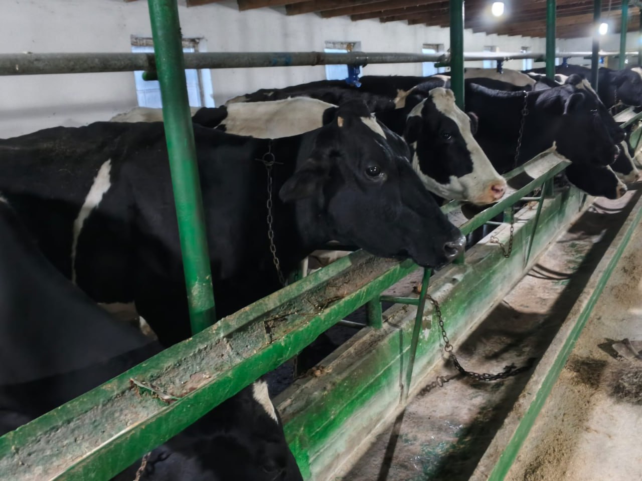 В КФХ «Арслан» подвели производственные итоги девяти месяцев