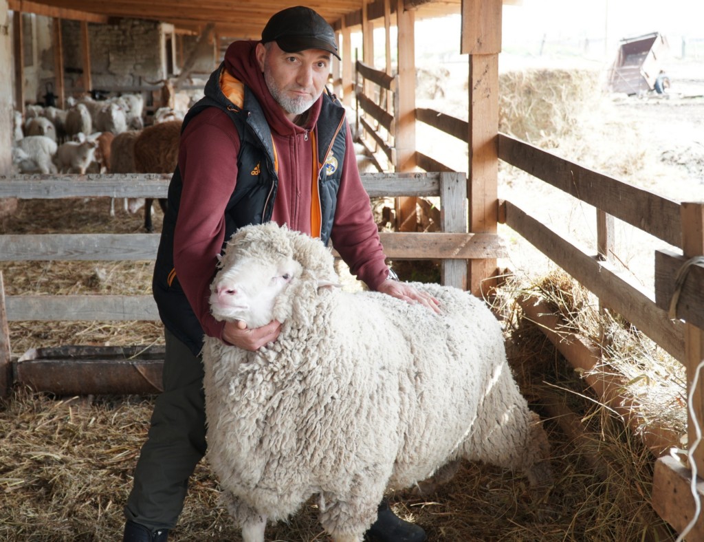 Изображение 1