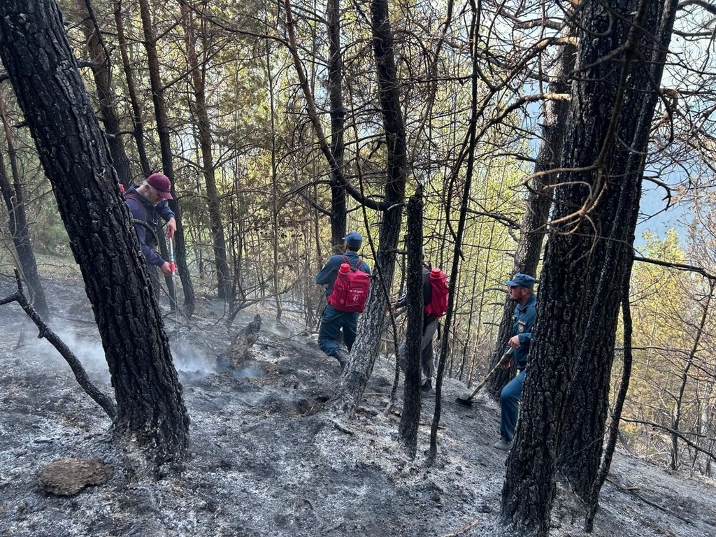 Лесной пожар произошел в Тляратинском районе