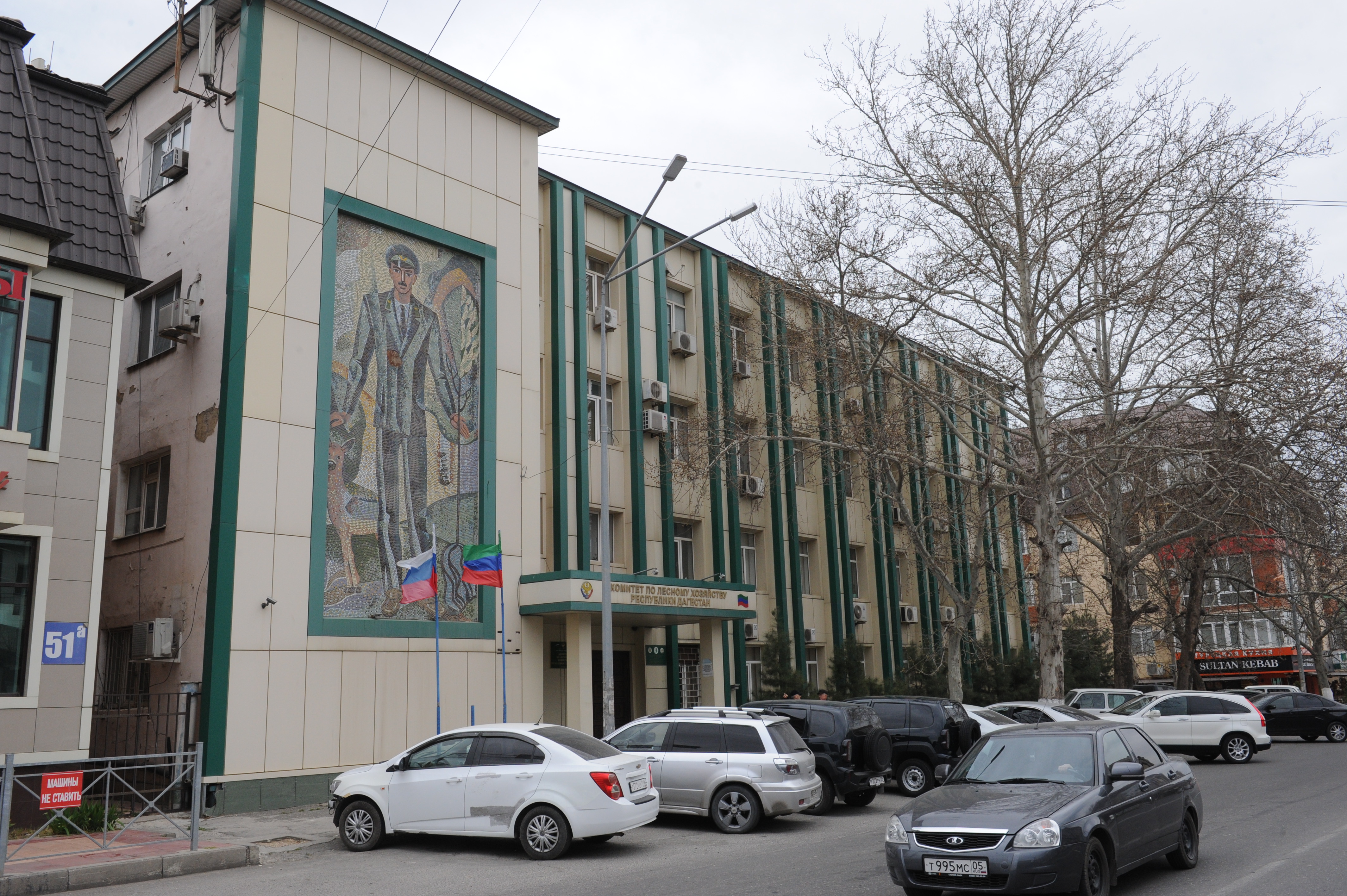 Даглесхоз прокомментировал вырубку деревьев в Хасавюртовском районе