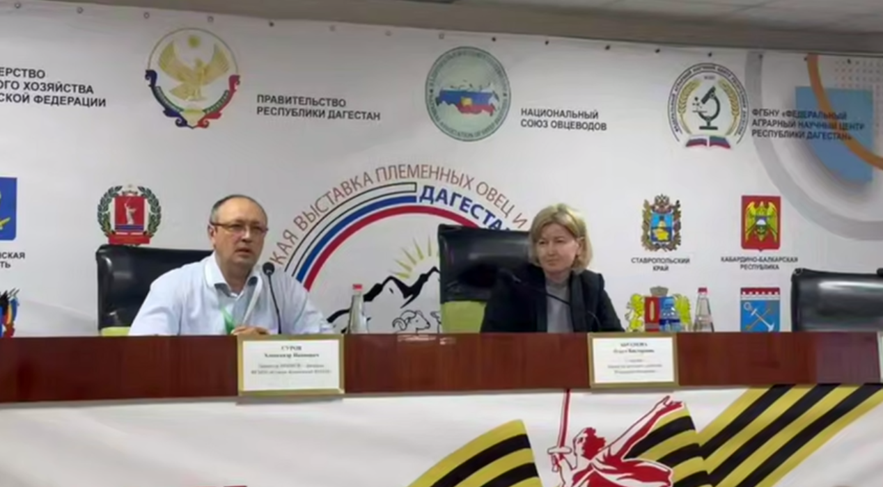 Вопросы улучшения качества племенных овец обсудили в рамках выставки в Дагестане