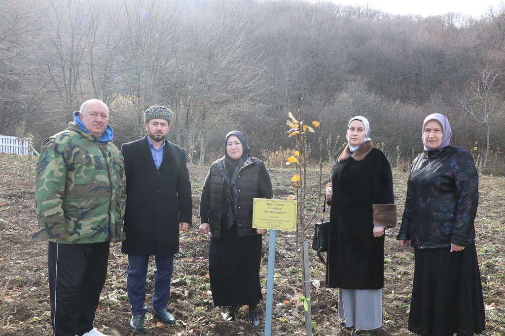 В Казбековском районе продолжаются работы по благоустройству «Сада памяти»