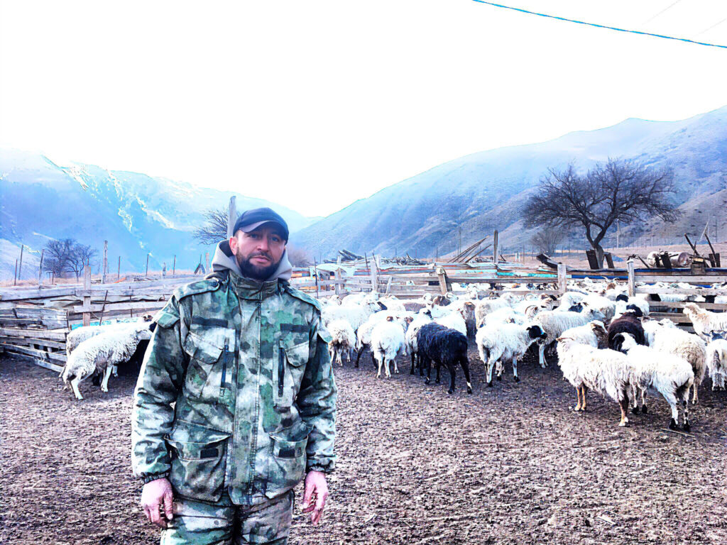 Как развивается сельское хозяйство в горах Дагестана