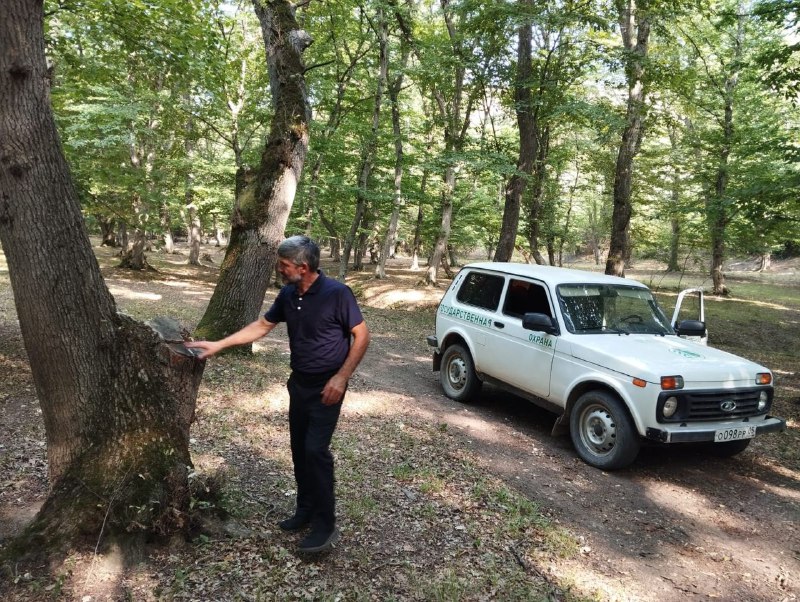 Даглесхоз усилил мониторинг лесов из-за высокой пожароопасности