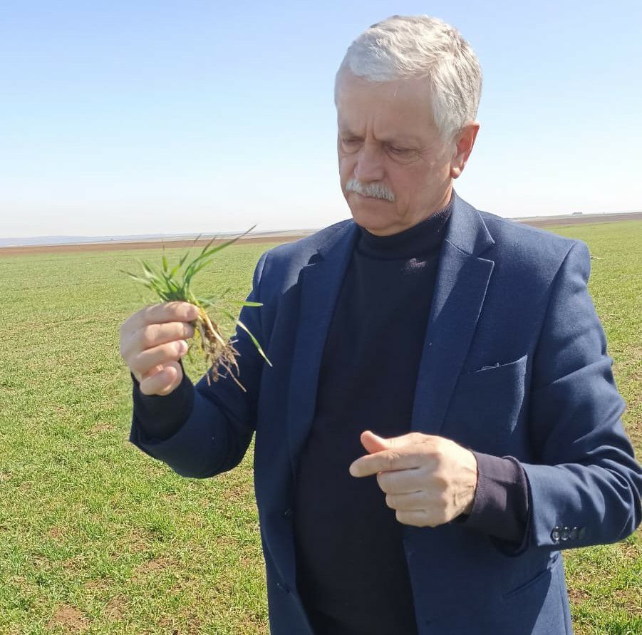 В сельскохозяйственных предприятиях Каякентского района проходит обследование озимых культур