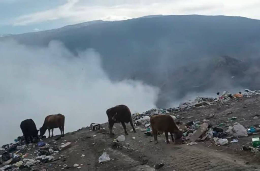 Администрация Ботлихского района провела засыпку мусорной свалки