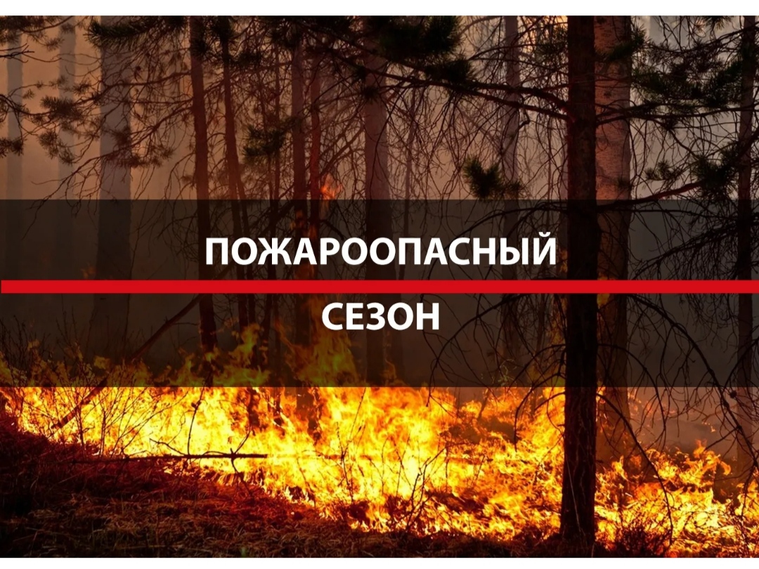 В лесничествах Дагестана с 1 апреля объявляется пожароопасный сезон