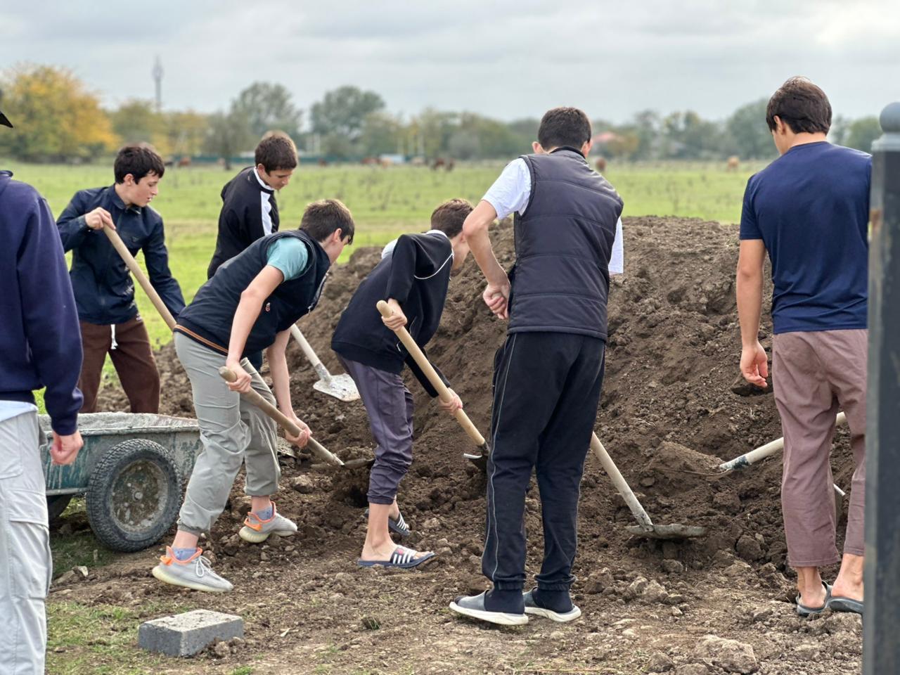 Изображение 2