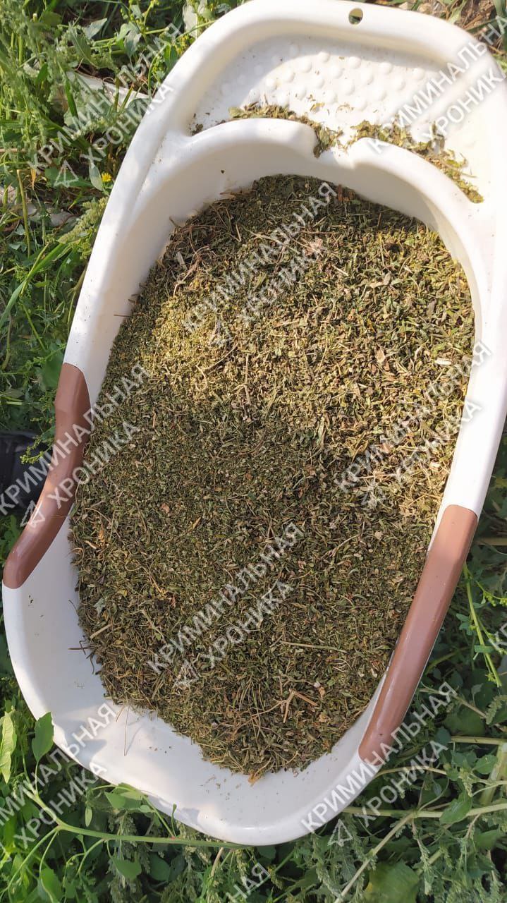 Более 2 кг марихуаны обнаружили в доме жителя Дагестана