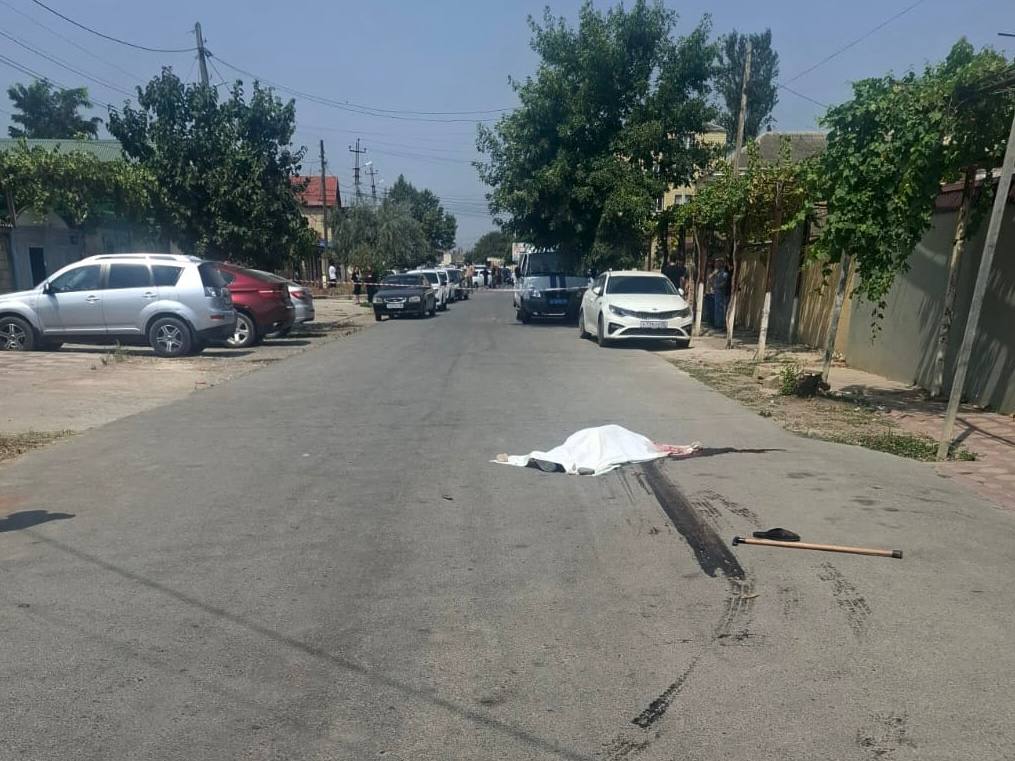 Пенсионерка погибла в результате наезда автомобиля в Дагогнях