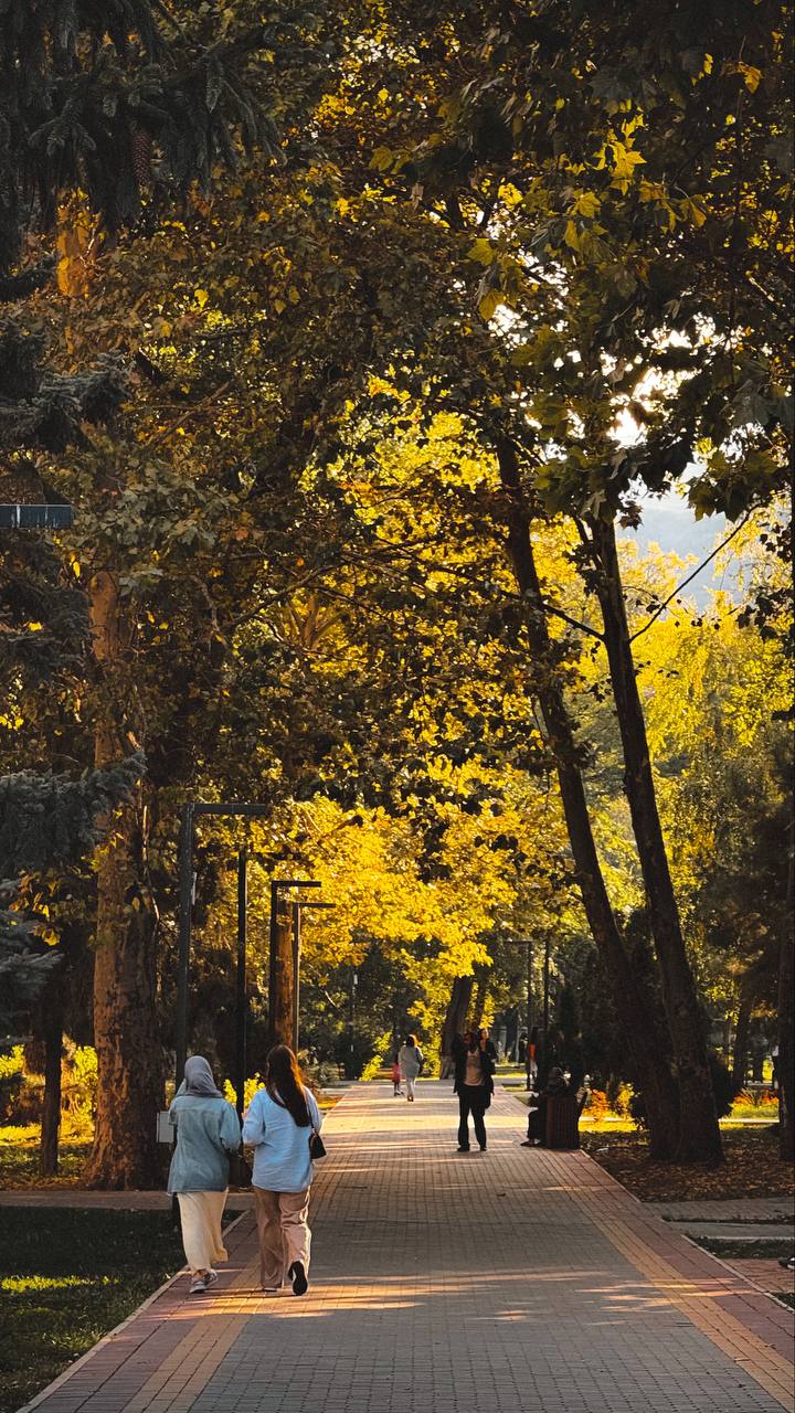 В Махачкале с потеплением высадят более 2 тыс. саженцев деревьев