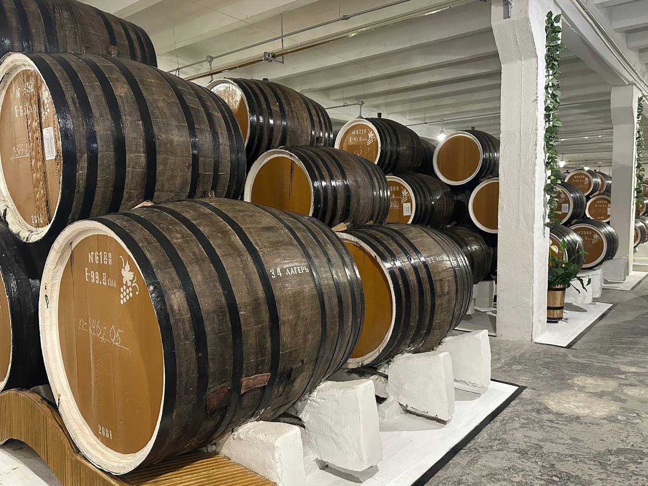 Приватизация старейшего коньячного завода Дагестана отложена на два года