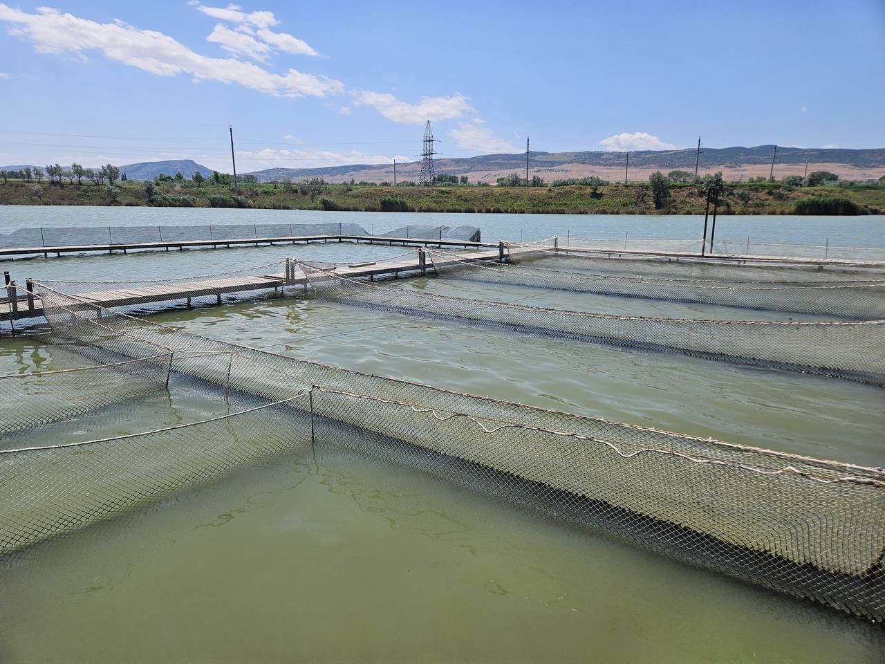 В Дагестане к 2028 году запустят хозяйство по выращиванию форели