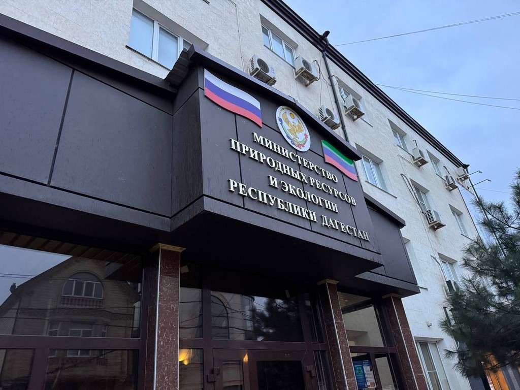 Минприроды Дагестана подсчитало ущерб от вырубки тополей вблизи больницы Махачкалы