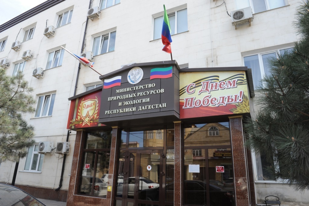 Минприроды Дагестана прокомментировало ситуацию с вырубкой деревьев застройщиком в Махачкале