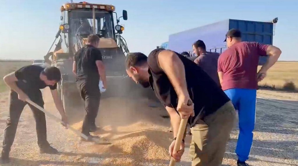 ЦУР отреагировал на инцидент с рассыпанным зерном на трассе под Южно-Сухокумском