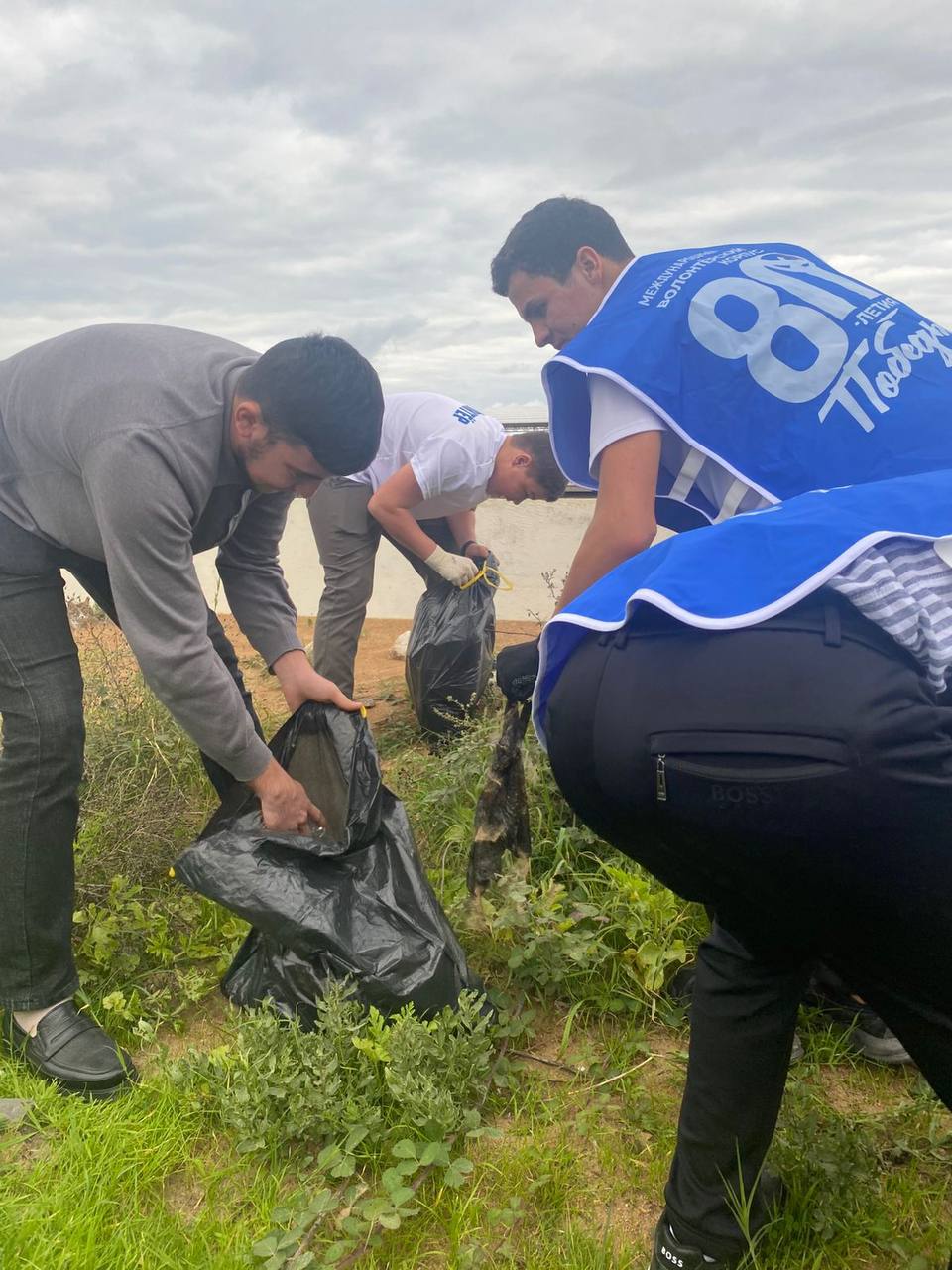 Изображение 1