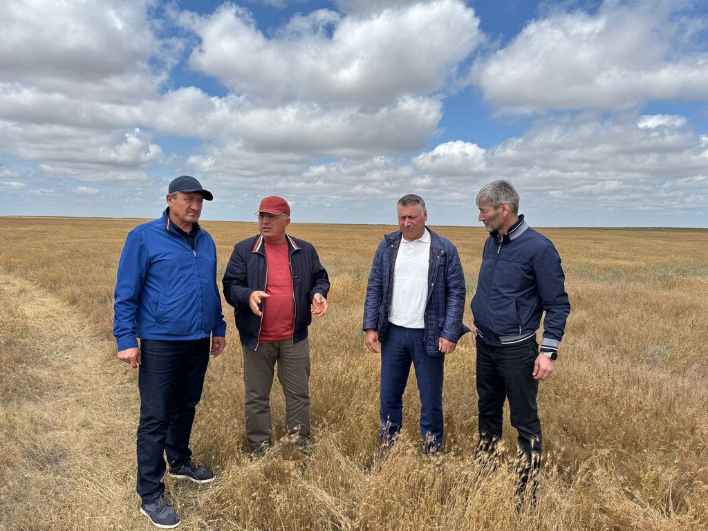 В Дагестане обсудили меры по борьбе с саранчовыми вредителями