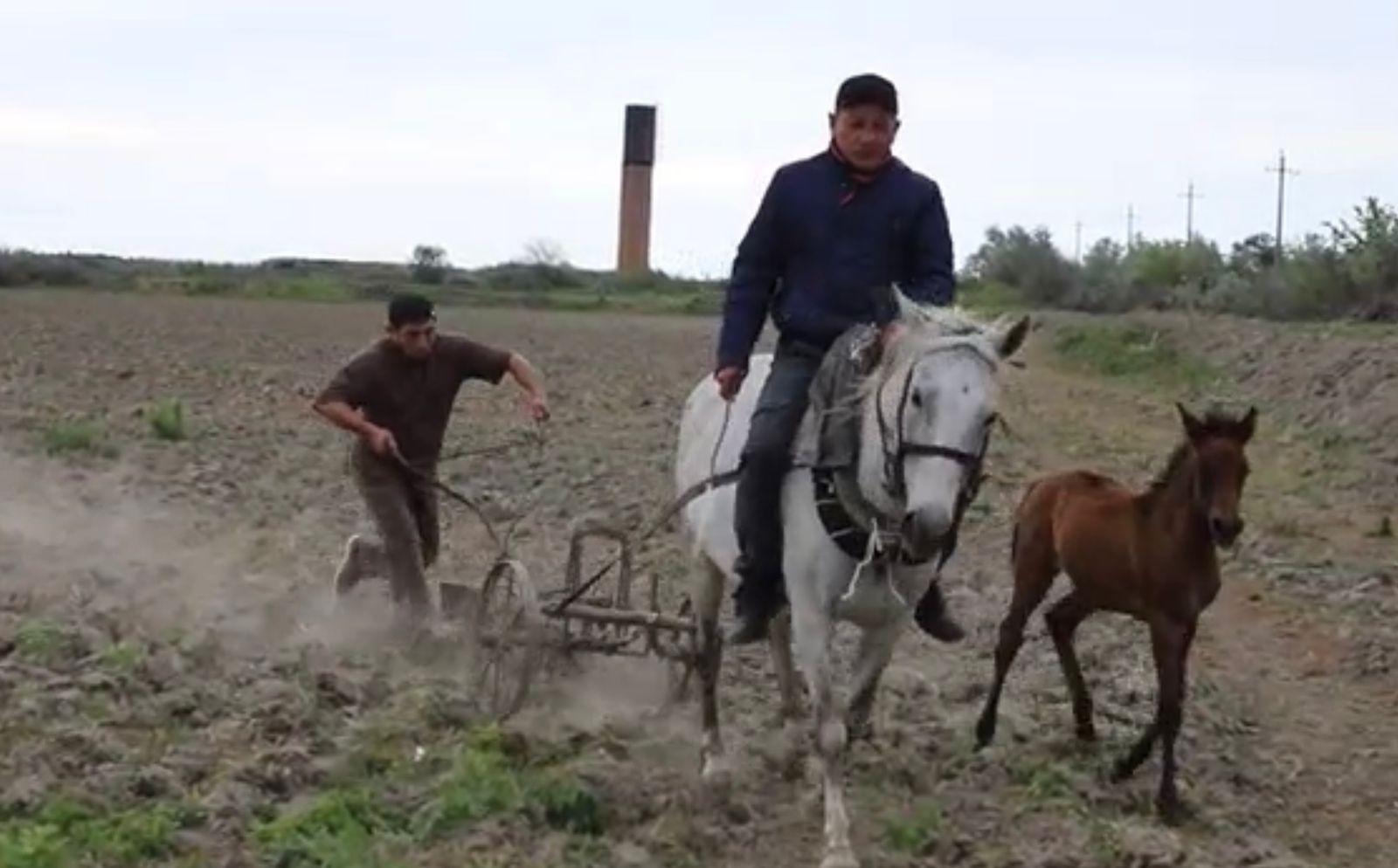 В Кизлярском районе возрождают заброшенные рисовые чеки